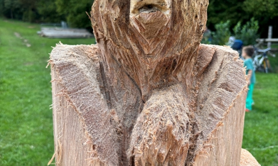 festival staneta jarma kocevsko (8)