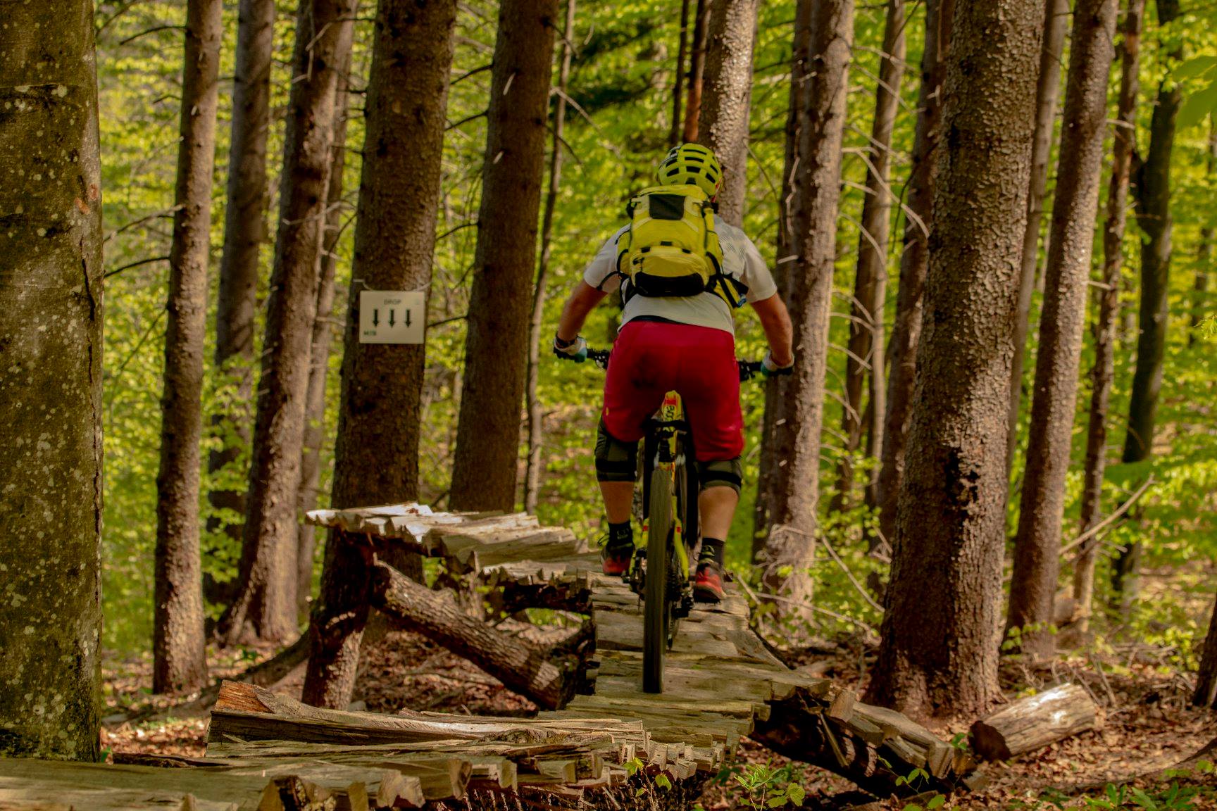 mtb7